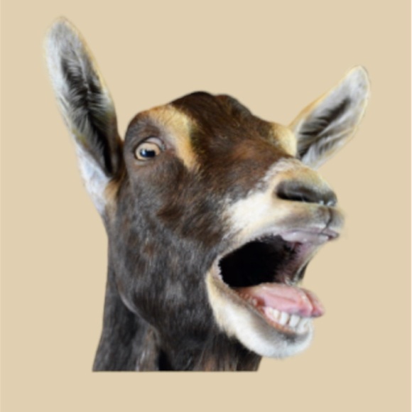 Tonight Marathon Sharing + OMG The Giveaways - Picture 4 of 15